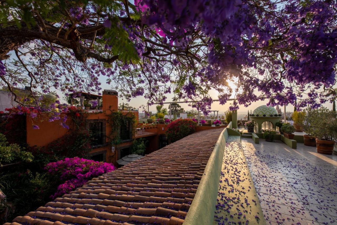 Casa Schuck Boutique Hotel San Miguel de Allende Kültér fotó